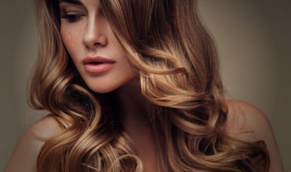corte